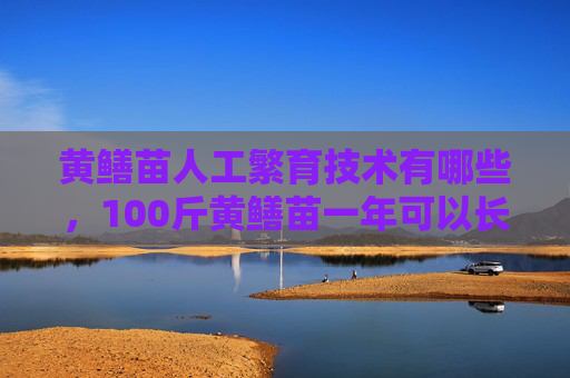 黄鳝苗人工繁育技术有哪些，100斤黄鳝苗一年可以长多大