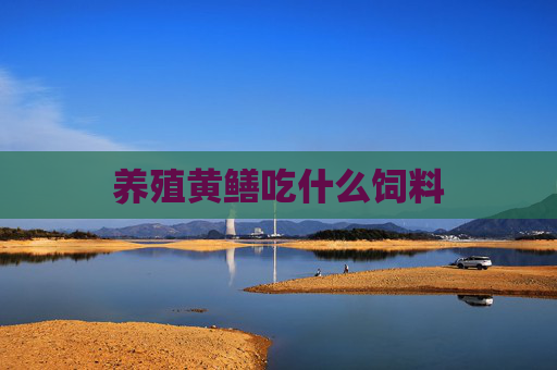 养殖黄鳝吃什么饲料