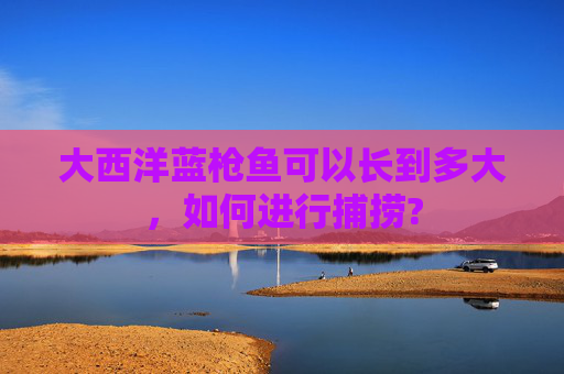 大西洋蓝枪鱼可以长到多大，如何进行捕捞?