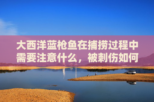 大西洋蓝枪鱼在捕捞过程中需要注意什么，被刺伤如何处理?