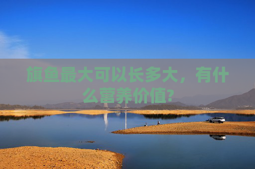 旗鱼最大可以长多大，有什么营养价值?