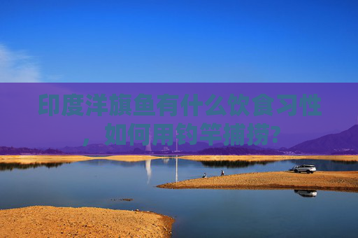 印度洋旗鱼有什么饮食习性，如何用钓竿捕捞?