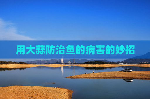 用大蒜防治鱼的病害的妙招