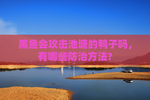 黑鱼会攻击池塘的鸭子吗，有哪些防治方法?