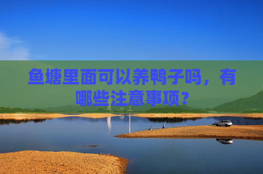 鱼塘里面可以养鸭子吗，有哪些注意事项？