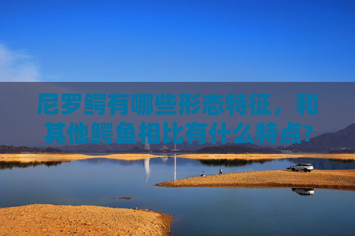 尼罗鳄有哪些形态特征，和其他鳄鱼相比有什么特点?