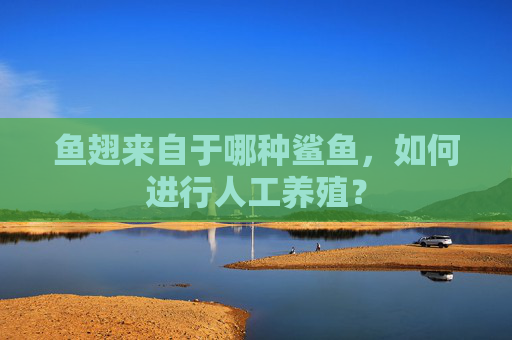 鱼翅来自于哪种鲨鱼，如何进行人工养殖？