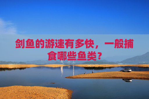 剑鱼的游速有多快，一般捕食哪些鱼类？