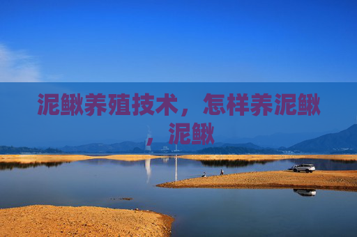 泥鳅养殖技术，怎样养泥鳅，泥鳅
