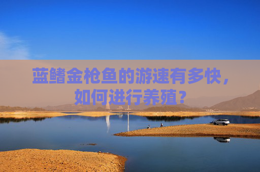 蓝鳍金枪鱼的游速有多快，如何进行养殖？
