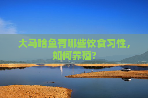 大马哈鱼有哪些饮食习性，如何养殖?