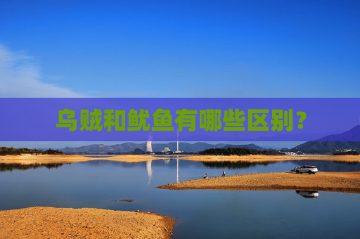 乌贼和鱿鱼有哪些区别？