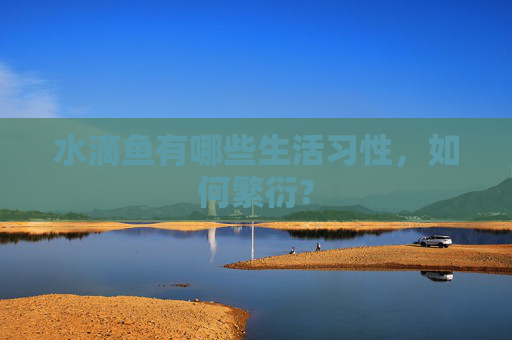 水滴鱼有哪些生活习性，如何繁衍?