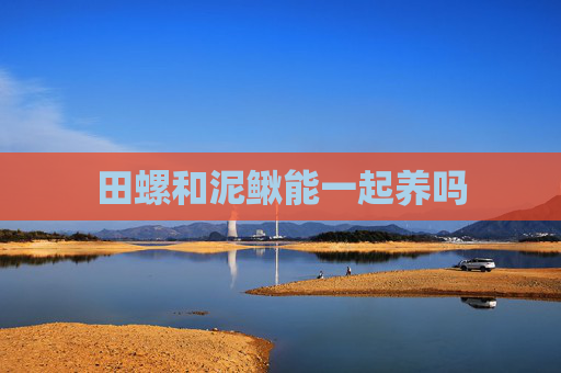 田螺和泥鳅能一起养吗