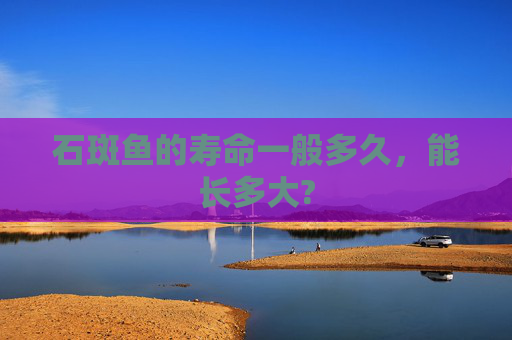 石斑鱼的寿命一般多久，能长多大?