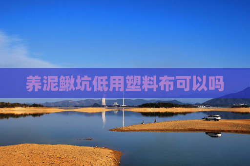 养泥鳅坑低用塑料布可以吗