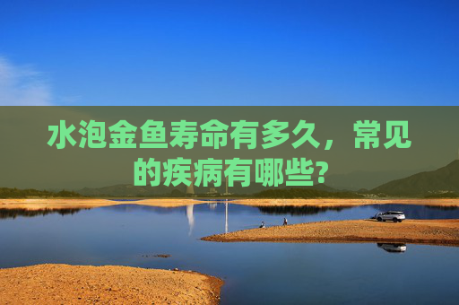 水泡金鱼寿命有多久，常见的疾病有哪些?