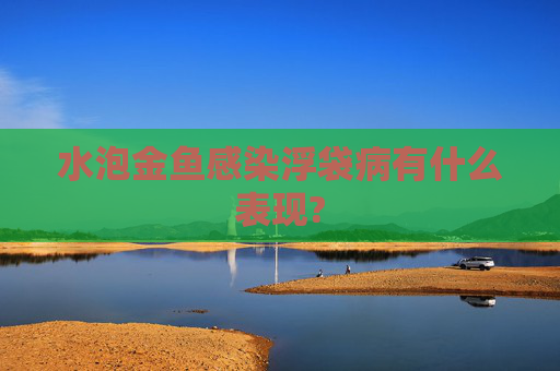 水泡金鱼感染浮袋病有什么表现?