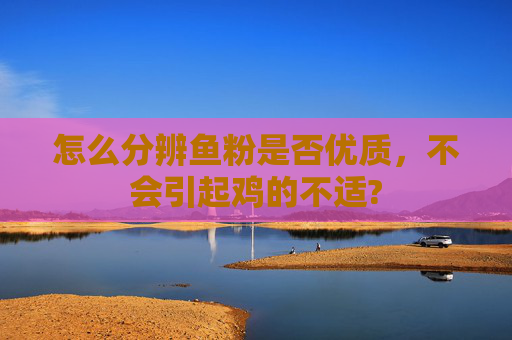 怎么分辨鱼粉是否优质,不会引起鸡的不适?