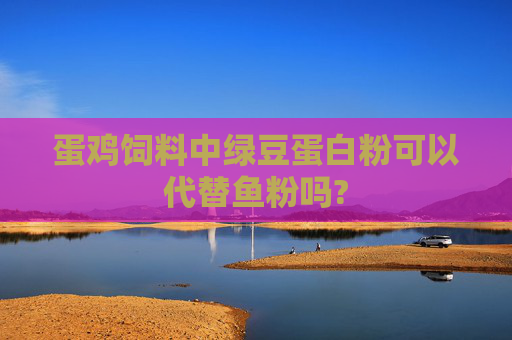 蛋鸡饲料中绿豆蛋白粉可以代替鱼粉吗?
