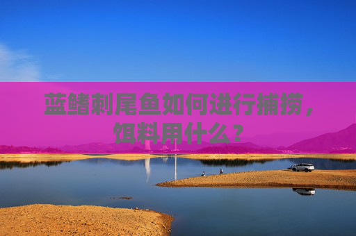 蓝鳍刺尾鱼如何进行捕捞，饵料用什么？