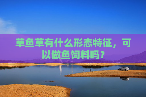 草鱼草有什么形态特征，可以做鱼饲料吗？