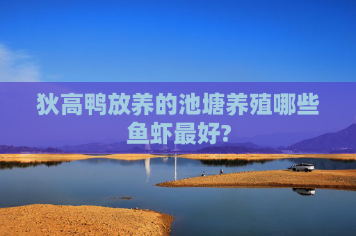 狄高鸭放养的池塘养殖哪些鱼虾最好?