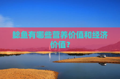 鲶鱼有哪些营养价值和经济价值？