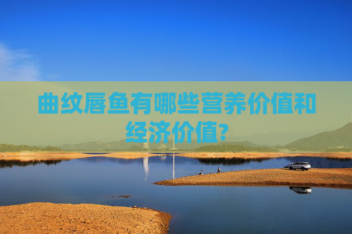 曲纹唇鱼有哪些营养价值和经济价值?