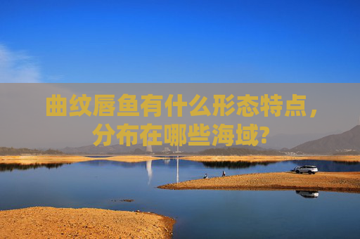 曲纹唇鱼有什么形态特点，分布在哪些海域?