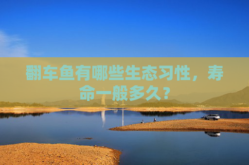 翻车鱼有哪些生态习性，寿命一般多久？