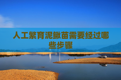 人工繁育泥鳅苗需要经过哪些步骤 人工繁育泥鳅苗需要经过哪些步骤