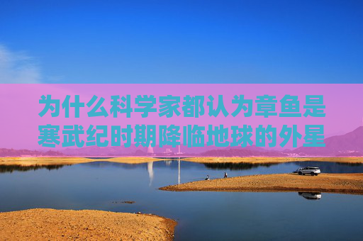 为什么科学家都认为章鱼是寒武纪时期降临地球的外星生物呢？