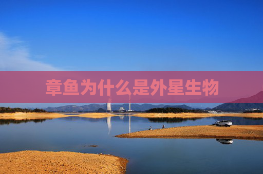 章鱼为什么是外星生物