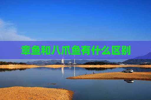 章鱼和八爪鱼有什么区别