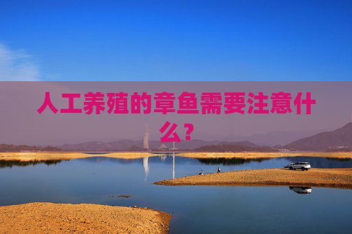人工养殖的章鱼需要注意什么?