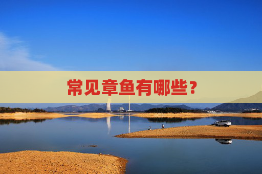 常见章鱼有哪些？