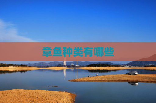 章鱼种类有哪些