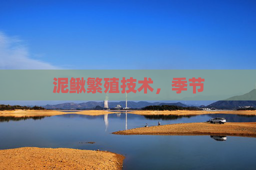 泥鳅繁殖技术，季节