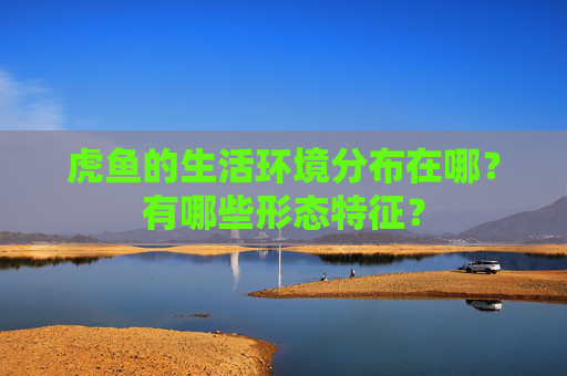 虎鱼的生活环境分布在哪？有哪些形态特征？