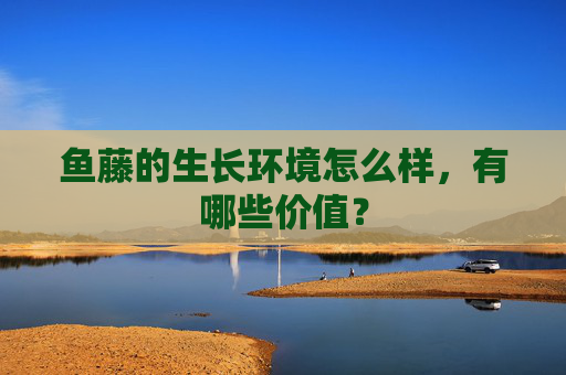 鱼藤的生长环境怎么样，有哪些价值？