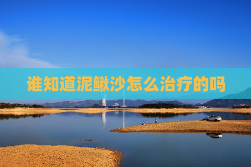 谁知道泥鳅沙怎么治疗的吗