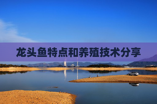 龙头鱼特点和养殖技术分享