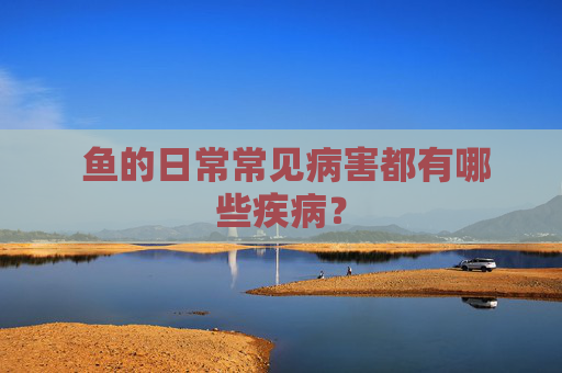  鱼的日常常见病害都有哪些疾病？