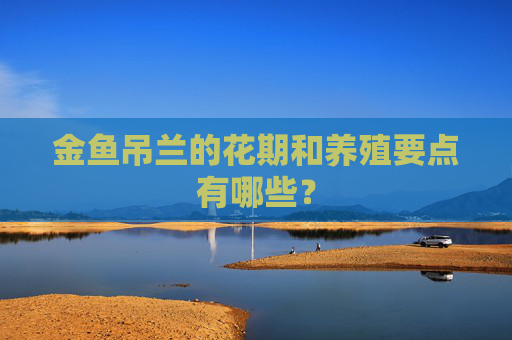 金鱼吊兰的花期和养殖要点有哪些？