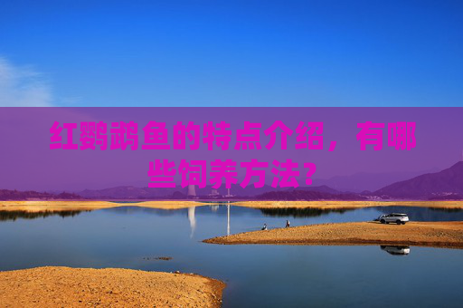 红鹦鹉鱼的特点介绍，有哪些饲养方法？