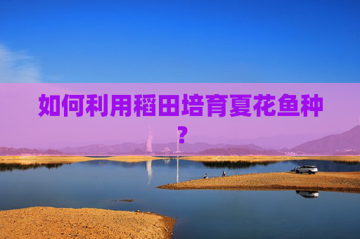 如何利用稻田培育夏花鱼种？