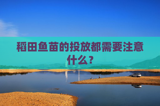稻田鱼苗的投放都需要注意什么？