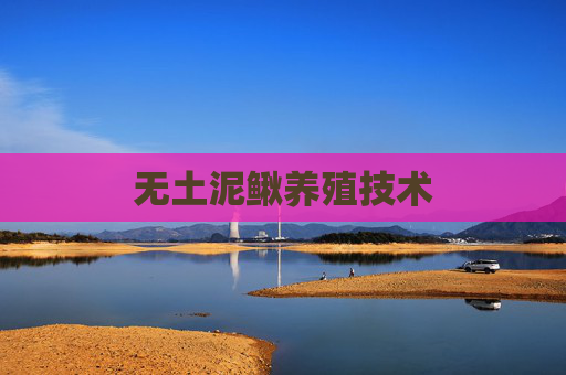无土泥鳅养殖技术