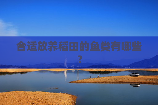 合适放养稻田的鱼类有哪些?